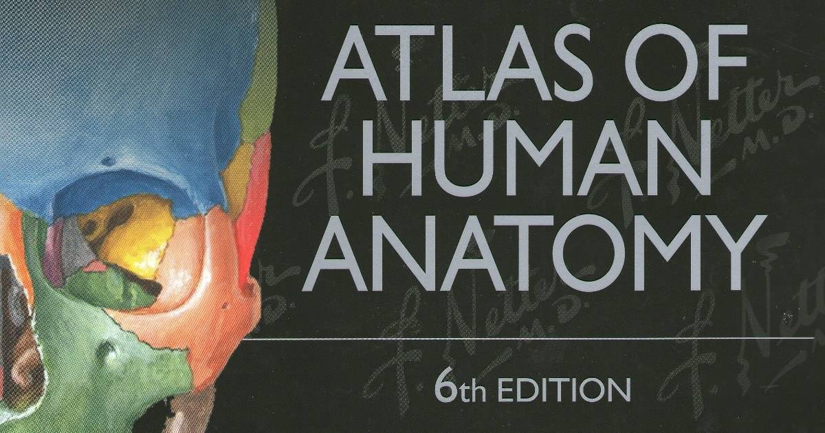 Ai là tác giả của Atlas Giải phẫu người?
