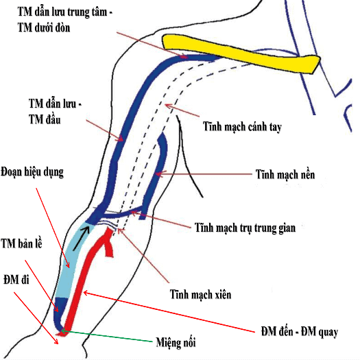 4. Các nguy cơ và biến chứng khi tác động đến tĩnh mạch nền